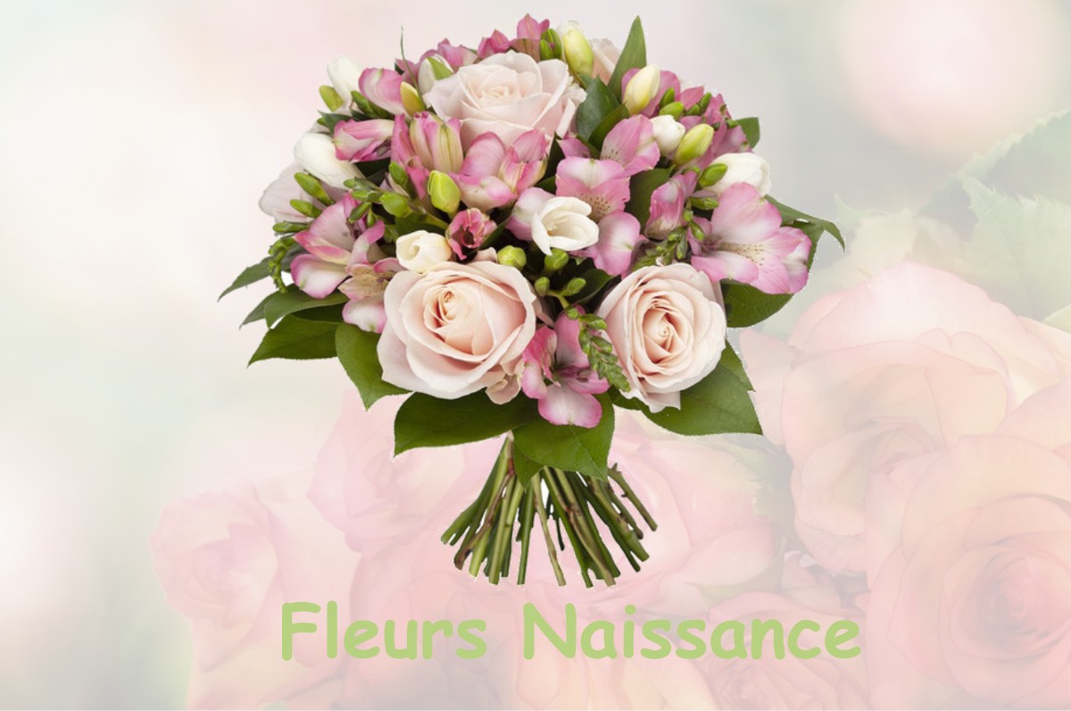 fleurs naissance SAINT-GEORGES-LA-POUGE